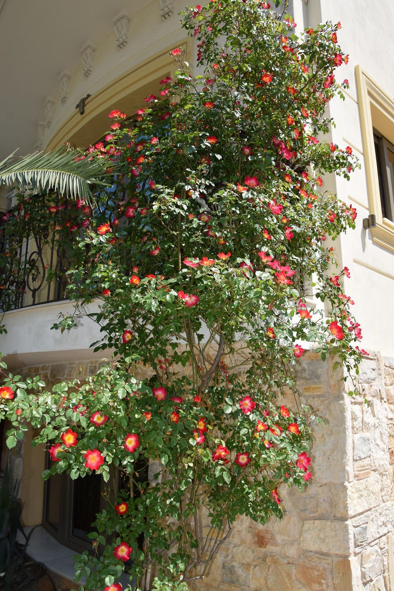 Olympic Fashion Hotels Athene Buitenkant foto
